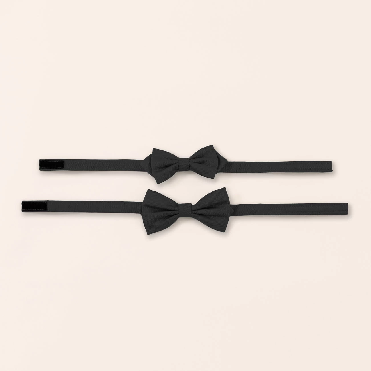 Harry Bow Tie - Black 5 Harry Bow Tie - Black - Image 3