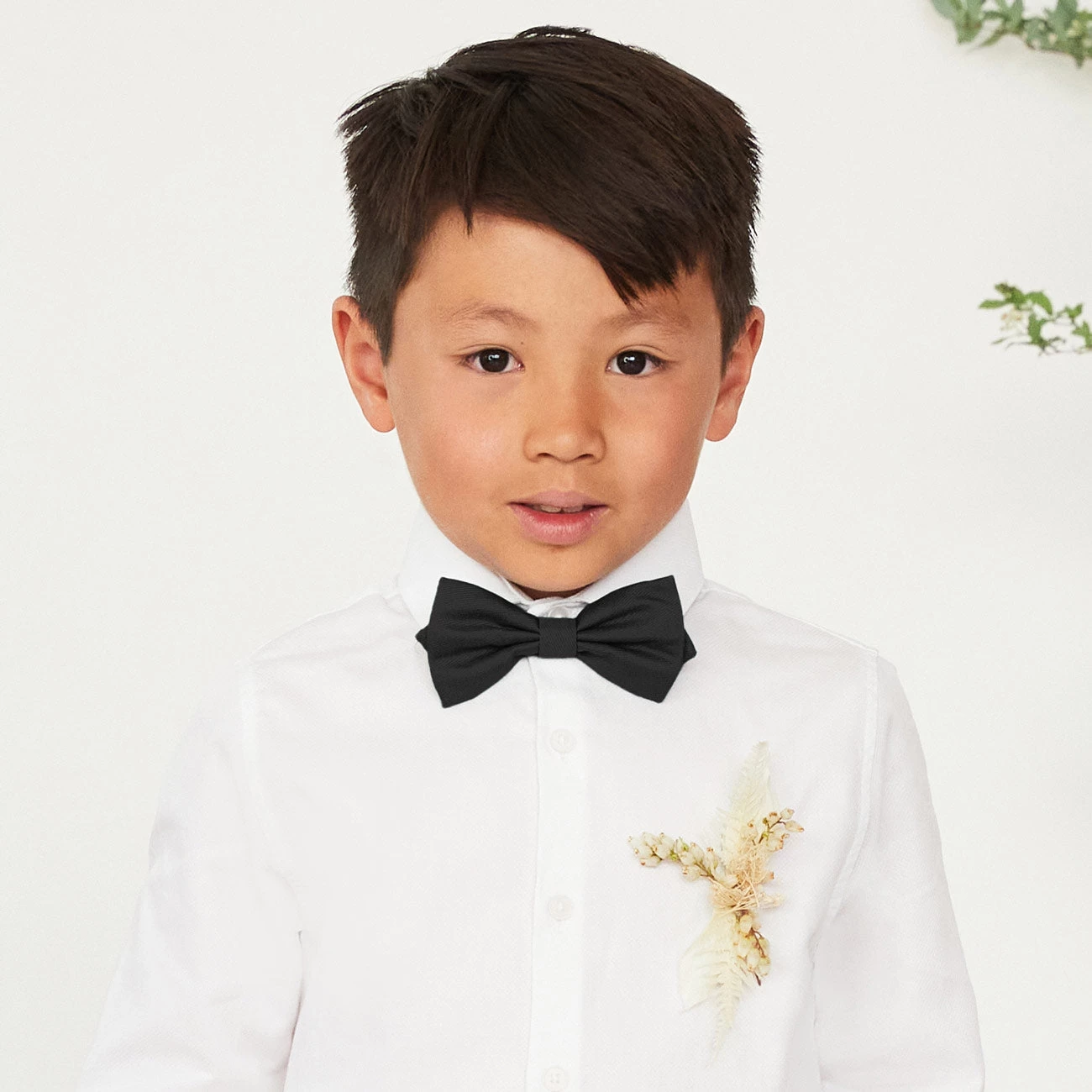 Harry Bow Tie - Black 4 Harry Bow Tie - Black - Image 2