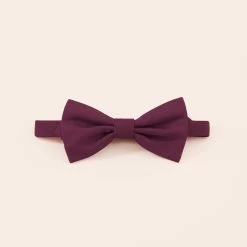Harry Bow Tie - Cabernet