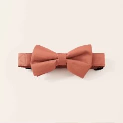 Sadie Dog Bow Tie Collar - Terracotta